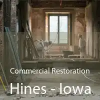 Commercial Restoration Hines - Iowa