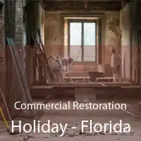 Commercial Restoration Holiday - Florida