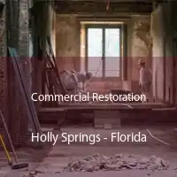 Commercial Restoration Holly Springs - Florida