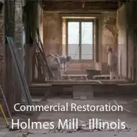 Commercial Restoration Holmes Mill - Illinois