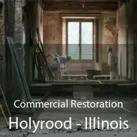 Commercial Restoration Holyrood - Illinois