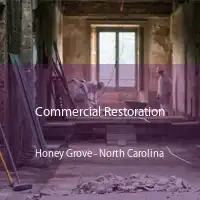 Commercial Restoration Honey Grove - North Carolina