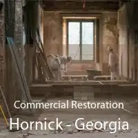 Commercial Restoration Hornick - Georgia