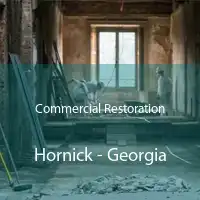 Commercial Restoration Hornick - Georgia