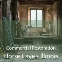 Commercial Restoration Horse Cave - Illinois