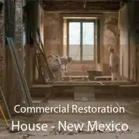 Commercial Restoration House - New Mexico