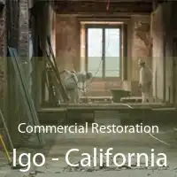 Commercial Restoration Igo - California