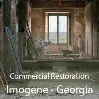 Commercial Restoration Imogene - Georgia