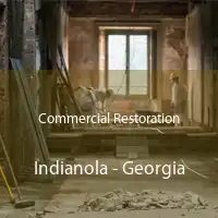 Commercial Restoration Indianola - Georgia