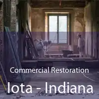 Commercial Restoration Iota - Indiana