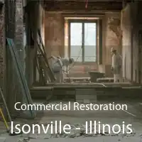 Commercial Restoration Isonville - Illinois