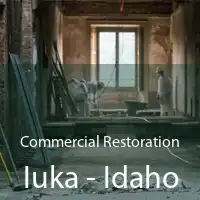 Commercial Restoration Iuka - Idaho