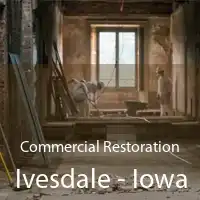 Commercial Restoration Ivesdale - Iowa