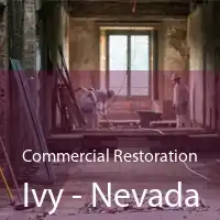 Commercial Restoration Ivy - Nevada