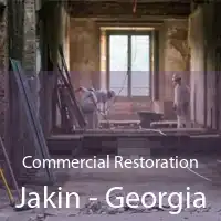 Commercial Restoration Jakin - Georgia