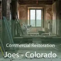 Commercial Restoration Joes - Colorado