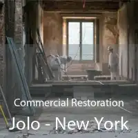 Commercial Restoration Jolo - New York