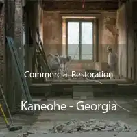 Commercial Restoration Kaneohe - Georgia