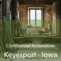 Commercial Restoration Keyesport - Iowa