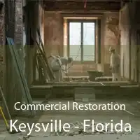 Commercial Restoration Keysville - Florida