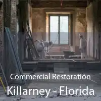 Commercial Restoration Killarney - Florida