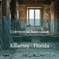 Commercial Restoration Killarney - Florida