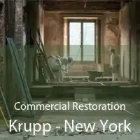 Commercial Restoration Krupp - New York
