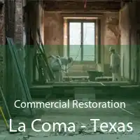 Commercial Restoration La Coma - Texas