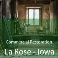 Commercial Restoration La Rose - Iowa