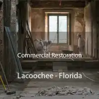 Commercial Restoration Lacoochee - Florida