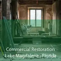 Commercial Restoration Lake Magdalene - Florida