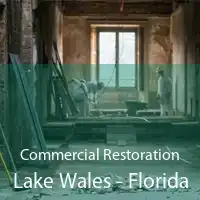 Commercial Restoration Lake Wales - Florida