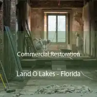 Commercial Restoration Land O Lakes - Florida