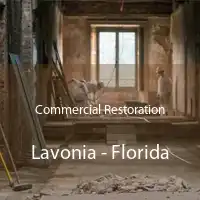 Commercial Restoration Lavonia - Florida