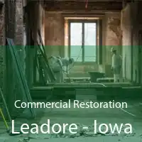 Commercial Restoration Leadore - Iowa