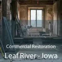 Commercial Restoration Leaf River - Iowa