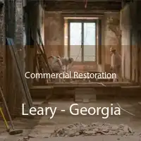 Commercial Restoration Leary - Georgia