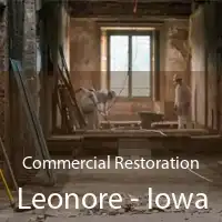 Commercial Restoration Leonore - Iowa