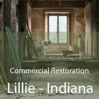 Commercial Restoration Lillie - Indiana