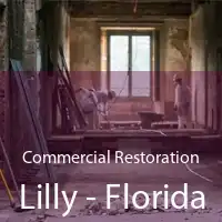Commercial Restoration Lilly - Florida