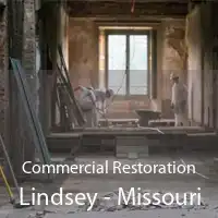 Commercial Restoration Lindsey - Missouri