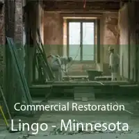 Commercial Restoration Lingo - Minnesota