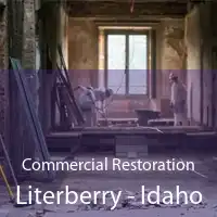 Commercial Restoration Literberry - Idaho