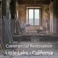 Commercial Restoration Little Lake - California