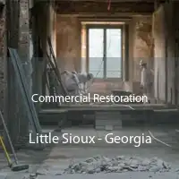 Commercial Restoration Little Sioux - Georgia