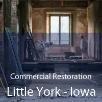 Commercial Restoration Little York - Iowa