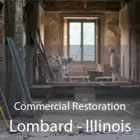 Commercial Restoration Lombard - Illinois