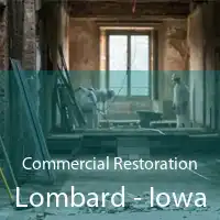 Commercial Restoration Lombard - Iowa