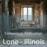 Commercial Restoration Lone - Illinois