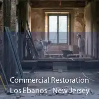 Commercial Restoration Los Ebanos - New Jersey